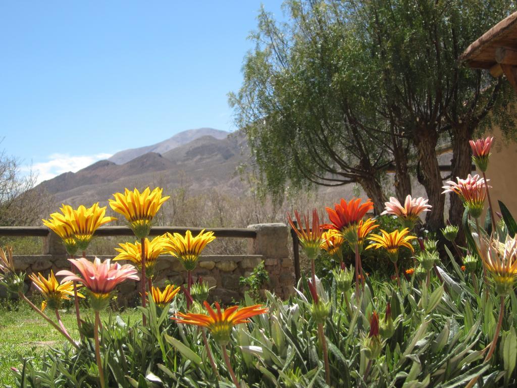 Posada Campo Morado Huacalera Eksteriør bilde